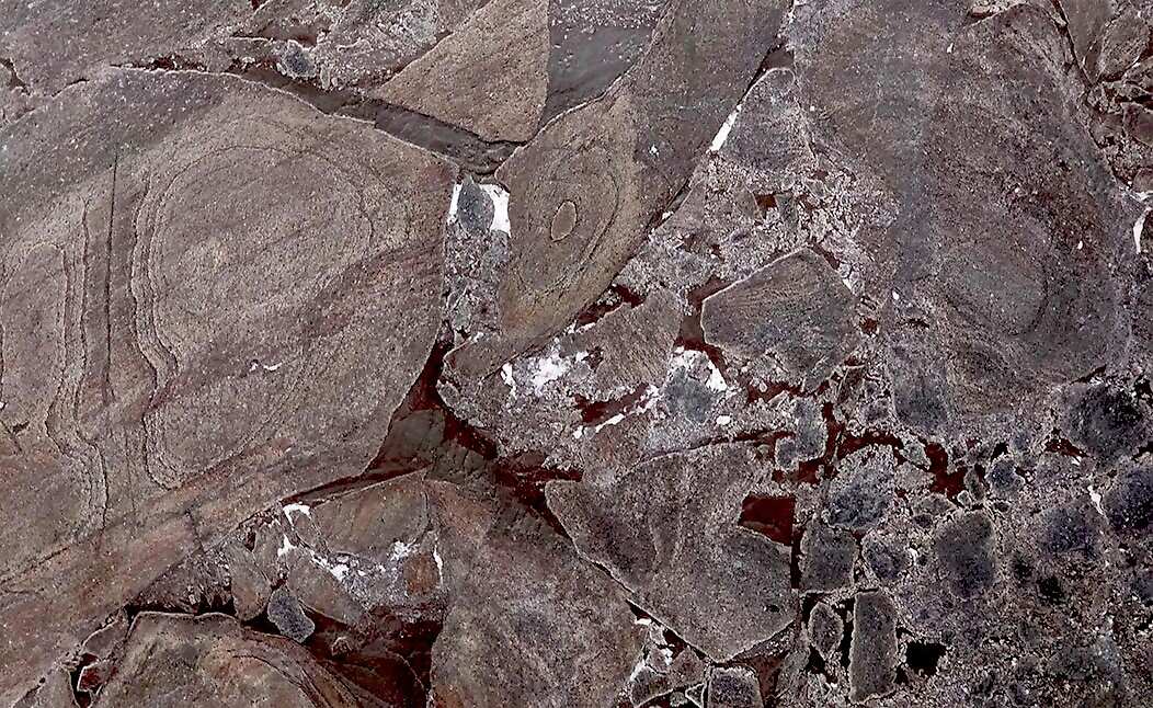 Purple-Rain-m1_688779518e62c_1753708881_compressed